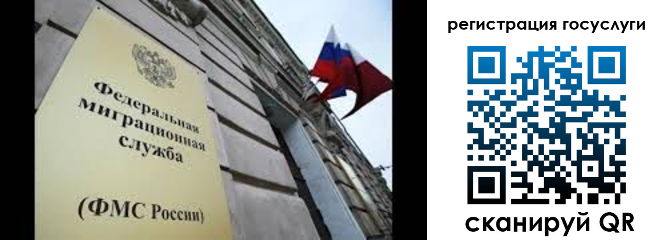 прописка для школы в Сочи